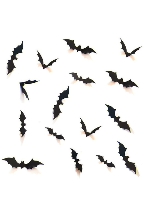 wall bats